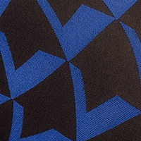 farbe_black-cobalt_fiore_g6034.jpg