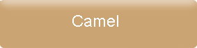 farbe_camel.jpg