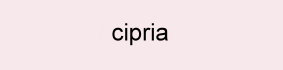 farbe_cipria_omero.jpg