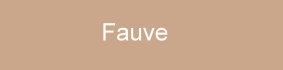 farbe_fauve.jpg