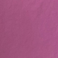 farbe_fuchsia_fiore_g5995.jpg