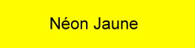 farbe_neon-jaune_gerbe.jpg