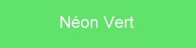 farbe_neon-vert_gerbe.jpg