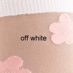 farbe_off-white_g1159.jpg