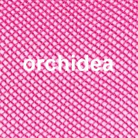 farbe_orchidea_trasparenze_ambra.jpg