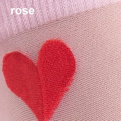 farbe_rose_fiore_g1191.jpg