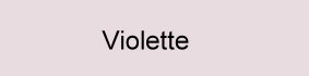 farbe_violette_gerbe.jpg